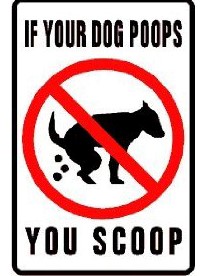 If your dog poops you scoop